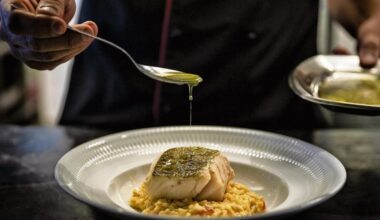 Jornal de Notícias Logo