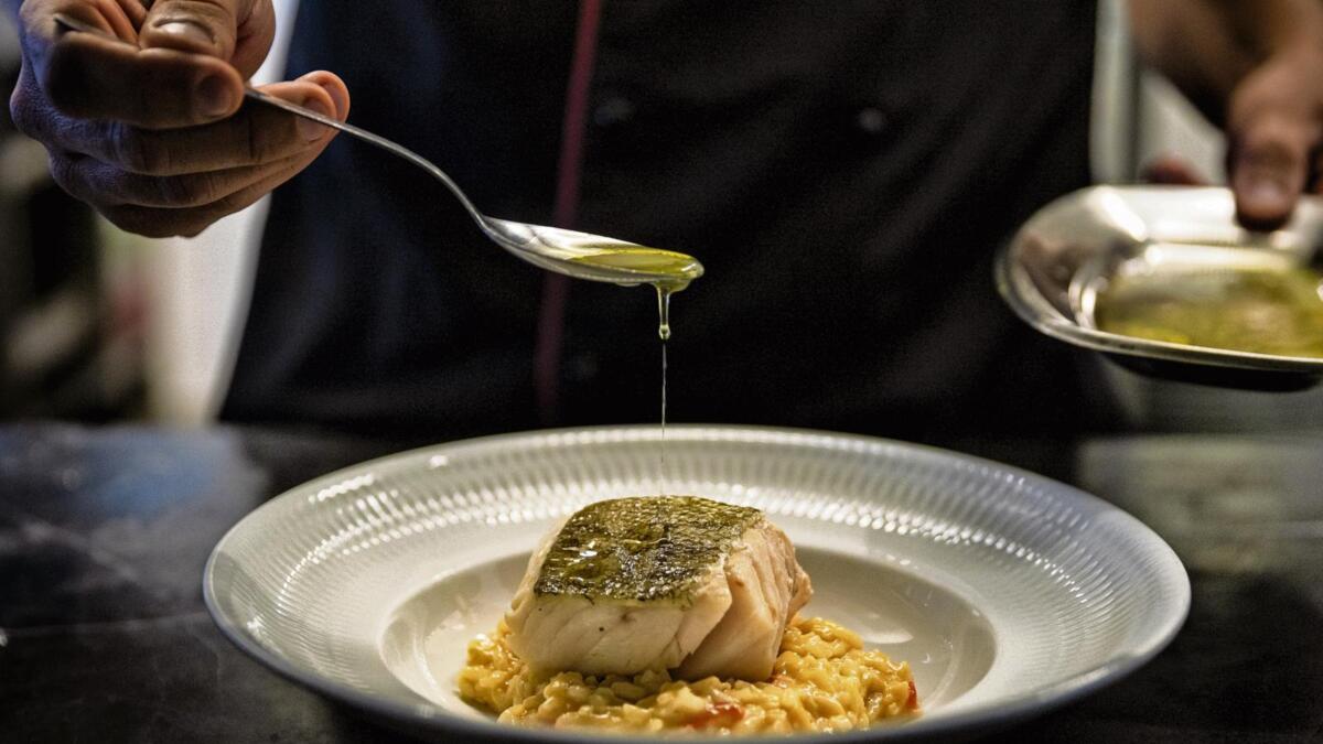 Jornal de Notícias Logo