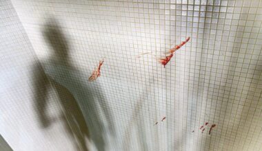 Jornal de Notícias Logo