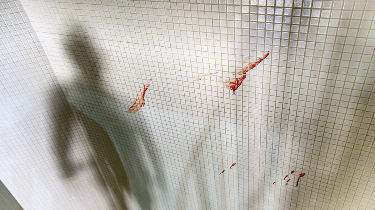 Jornal de Notícias Logo