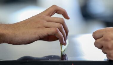 1143 Sempre, Esta é para as tias, Why not?!