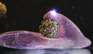 Vírus da gripe apanhado pela primeira vez em flagrante a infetar uma célula viva