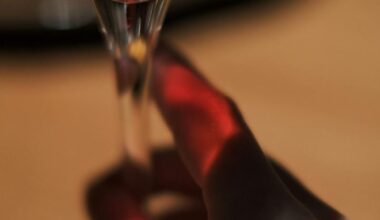 Este é o Melhor Vinho entre os Melhores do Ano 2025