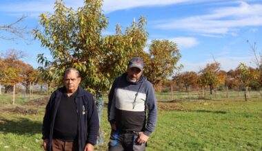 Jornal de Notícias Logo