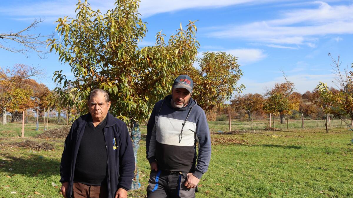 Jornal de Notícias Logo