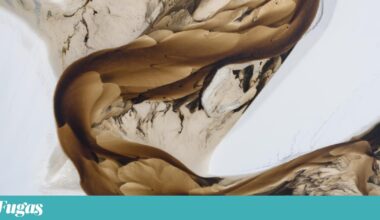 Melhor fotógrafo de paisagem do ano: entre Lençóis Maranhenses, fiordes e dunas | Fotogaleria