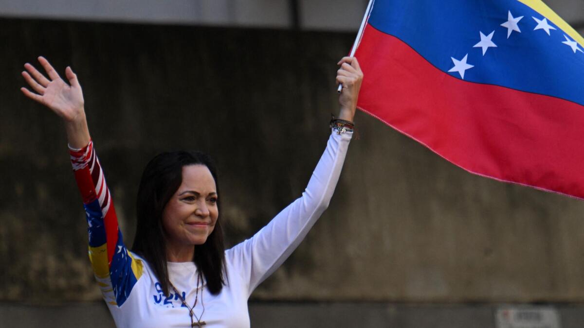 Jornal de Notícias Logo