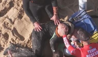 Jornal de Notícias Logo