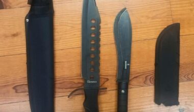 Jornal de Notícias Logo