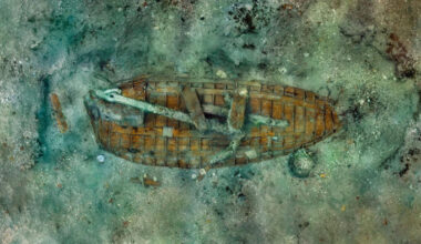 Jornal de Notícias Logo