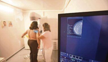 Jornal de Notícias Logo