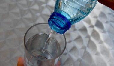 Jornal de Notícias Logo