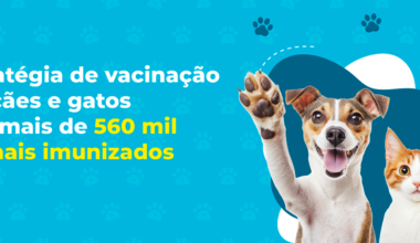 Estratégia de vacinação em cães e gatos tem mais de 560 mil animais imunizados