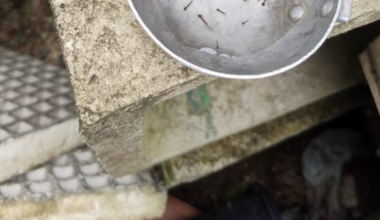 Rádio Cidade FM Foz Itajaí – 91.7