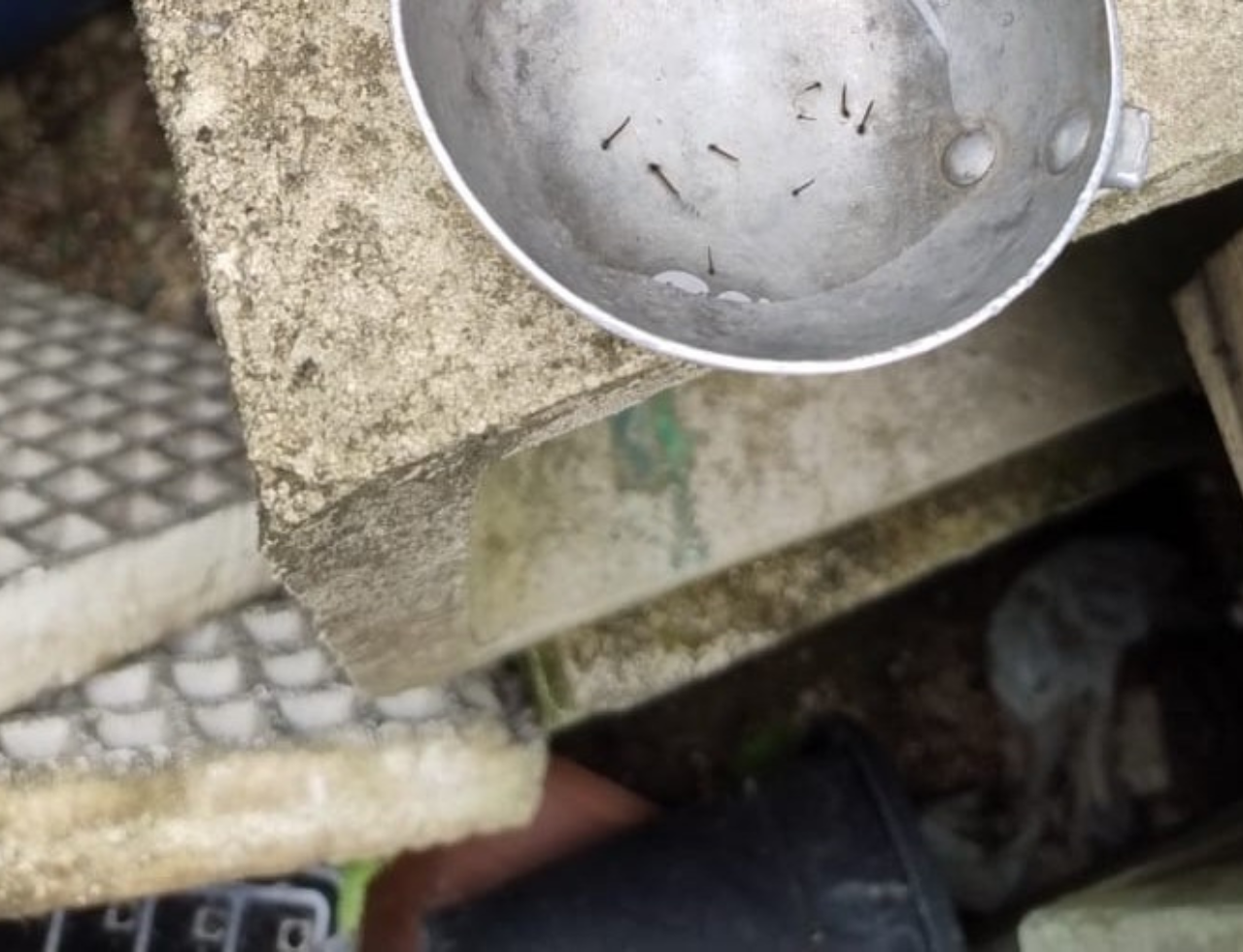 Rádio Cidade FM Foz Itajaí – 91.7