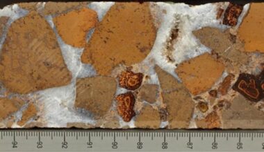 Escombros de lava submarina atuam como uma esponja para dióxido de carbono, aponta estudo