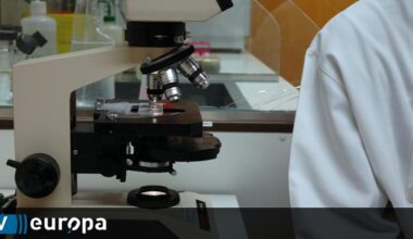 Doenças intestinais intratáveis poderão ser tratadas com células estaminais intestinais