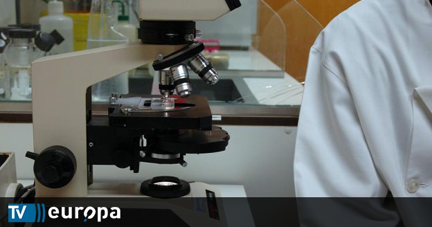 Doenças intestinais intratáveis poderão ser tratadas com células estaminais intestinais