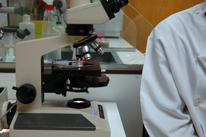 Doenças intestinais intratáveis poderão ser tratadas com células-tronco intestinais