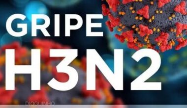 Dossiê Gripe H3N2, subtipo K: SNS explica tudo sobre a nova estirpe
