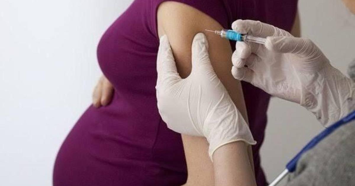 Prefeitura de Maceió | Maceió inicia vacinação contra o Vírus…