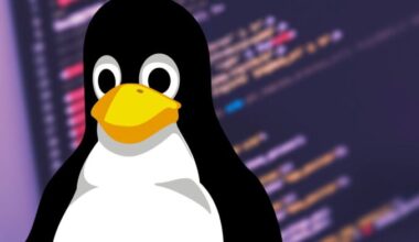 Brasil é o principal alvo de ciberataques em computadores com sistemas Linux e Mac na AL
