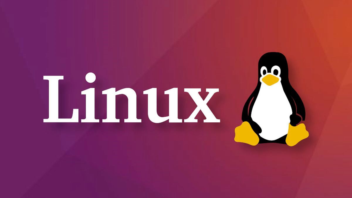 Linux prepara salto no desempenho com novo agendamento sensível à cache