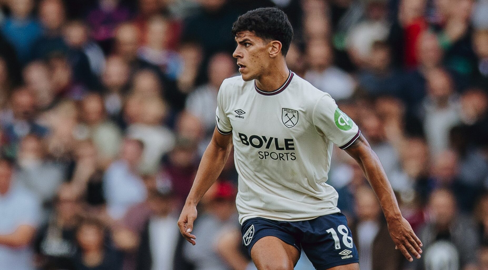 «Via muitas semelhanças com o Seba Coates»