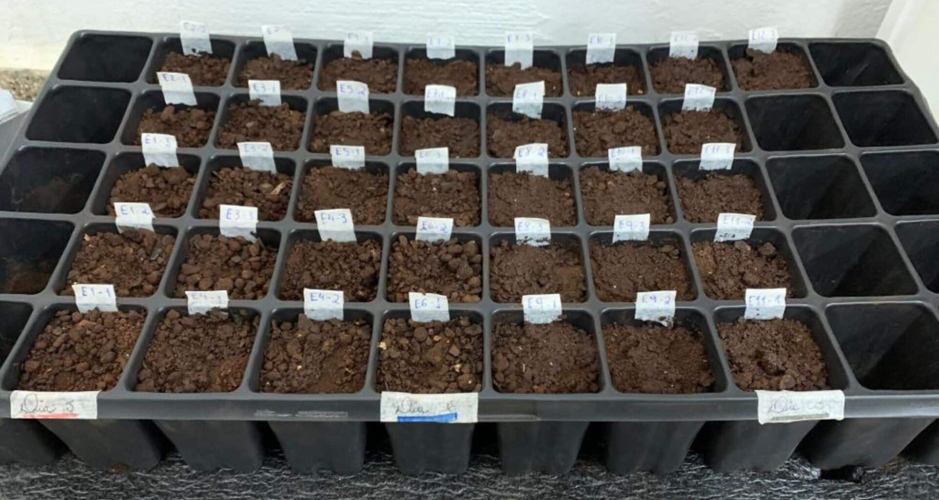 Pesquisa da UFMT desenvolve embalagem biodegradável a partir de óleo de pequi