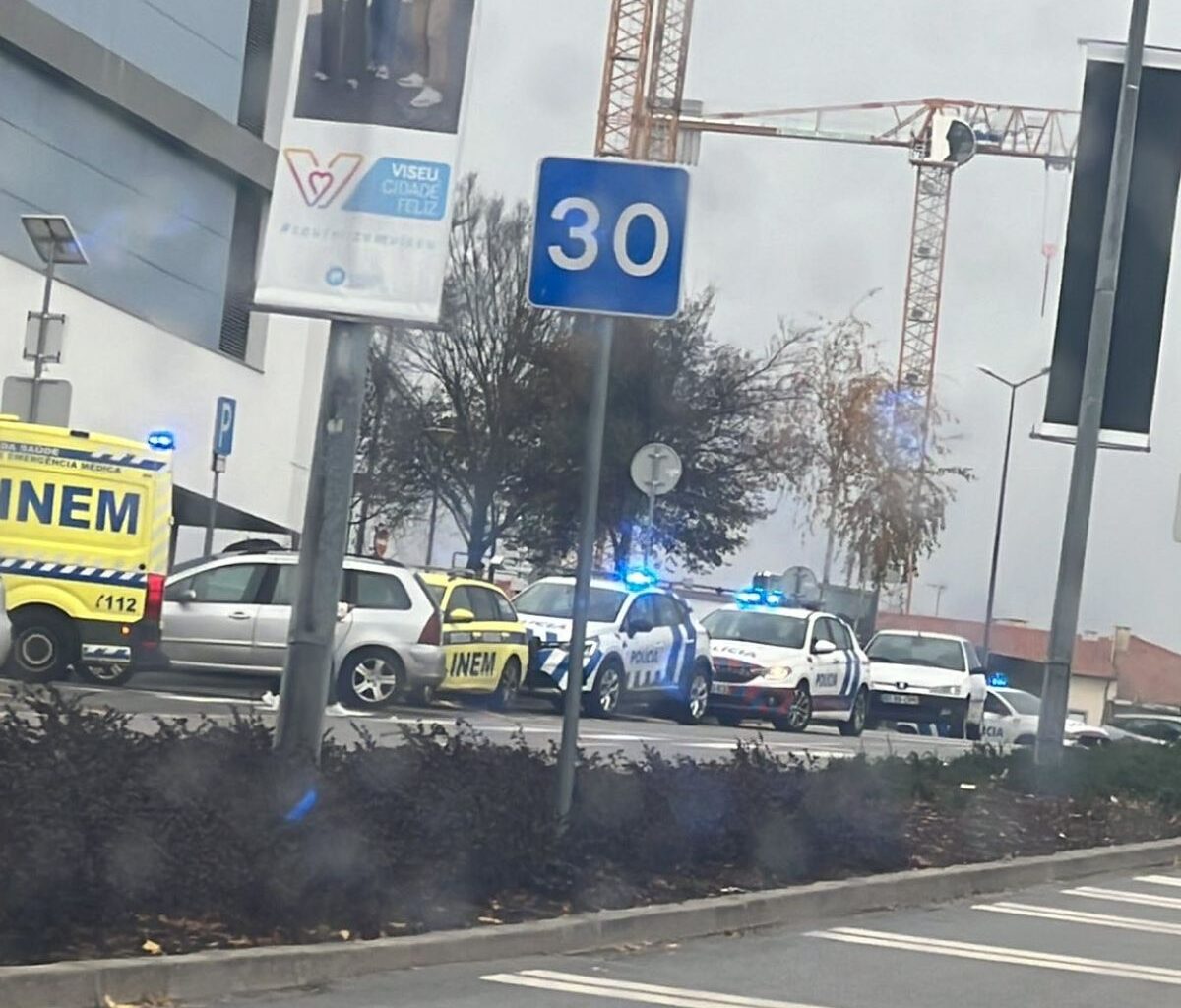 Jovem morre após queda no Palácio do Gelo – Notícias de Coimbra