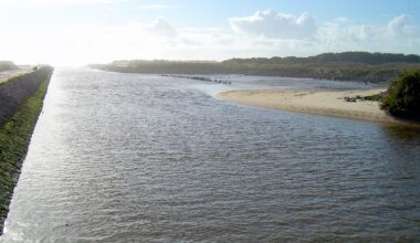 Dente revela que réptil marinho extinto também podia viver em água doce