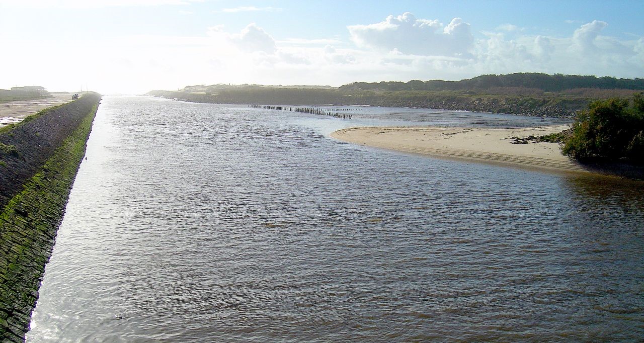 Dente revela que réptil marinho extinto também podia viver em água doce