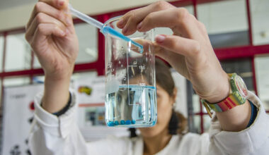 FCT lança concurso para 400 contratos de emprego científico no valor de 63,5 milhões