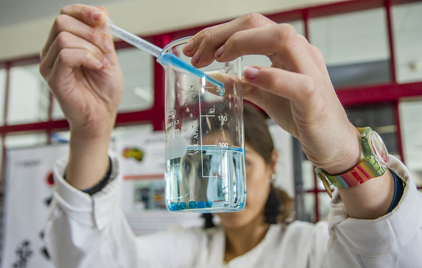 FCT lança concurso para 400 contratos de emprego científico no valor de 63,5 milhões