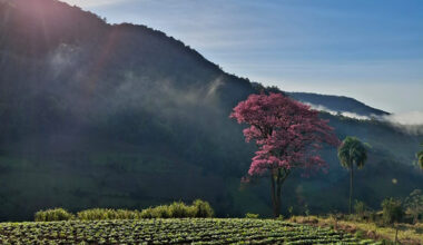Vale do Sol divulga fotos vencedoras do concurso Riquezas do Vale