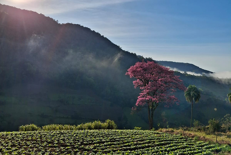 Vale do Sol divulga fotos vencedoras do concurso Riquezas do Vale