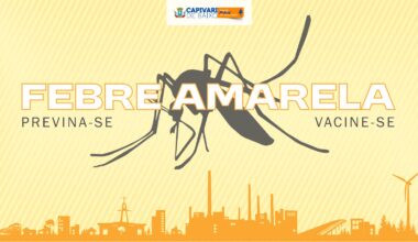 Presença de mosquito vetor da febre amarela na região coloca autoridades em saúde pública em alerta - Início