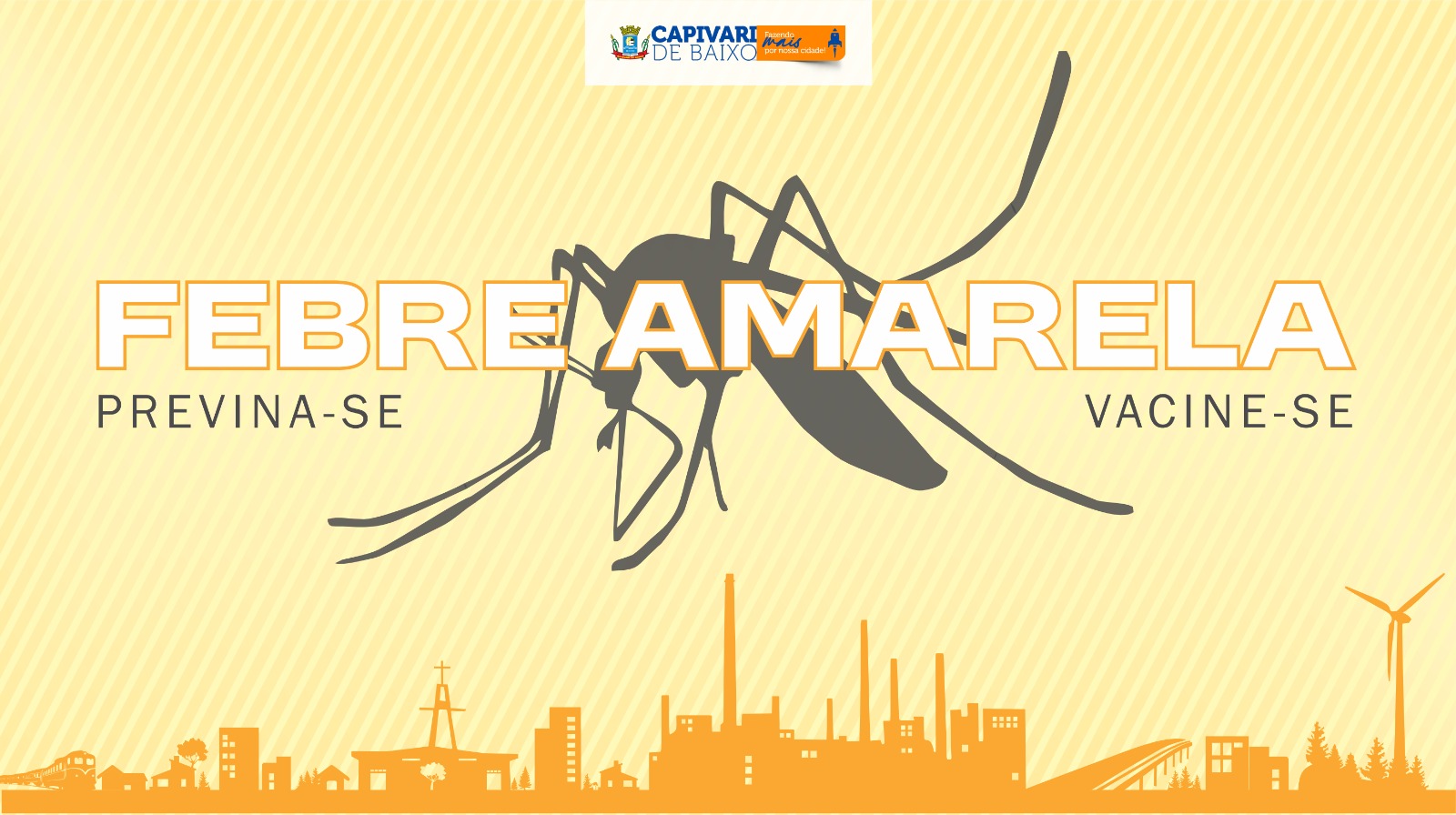 Presença de mosquito vetor da febre amarela na região coloca autoridades em saúde pública em alerta - Início