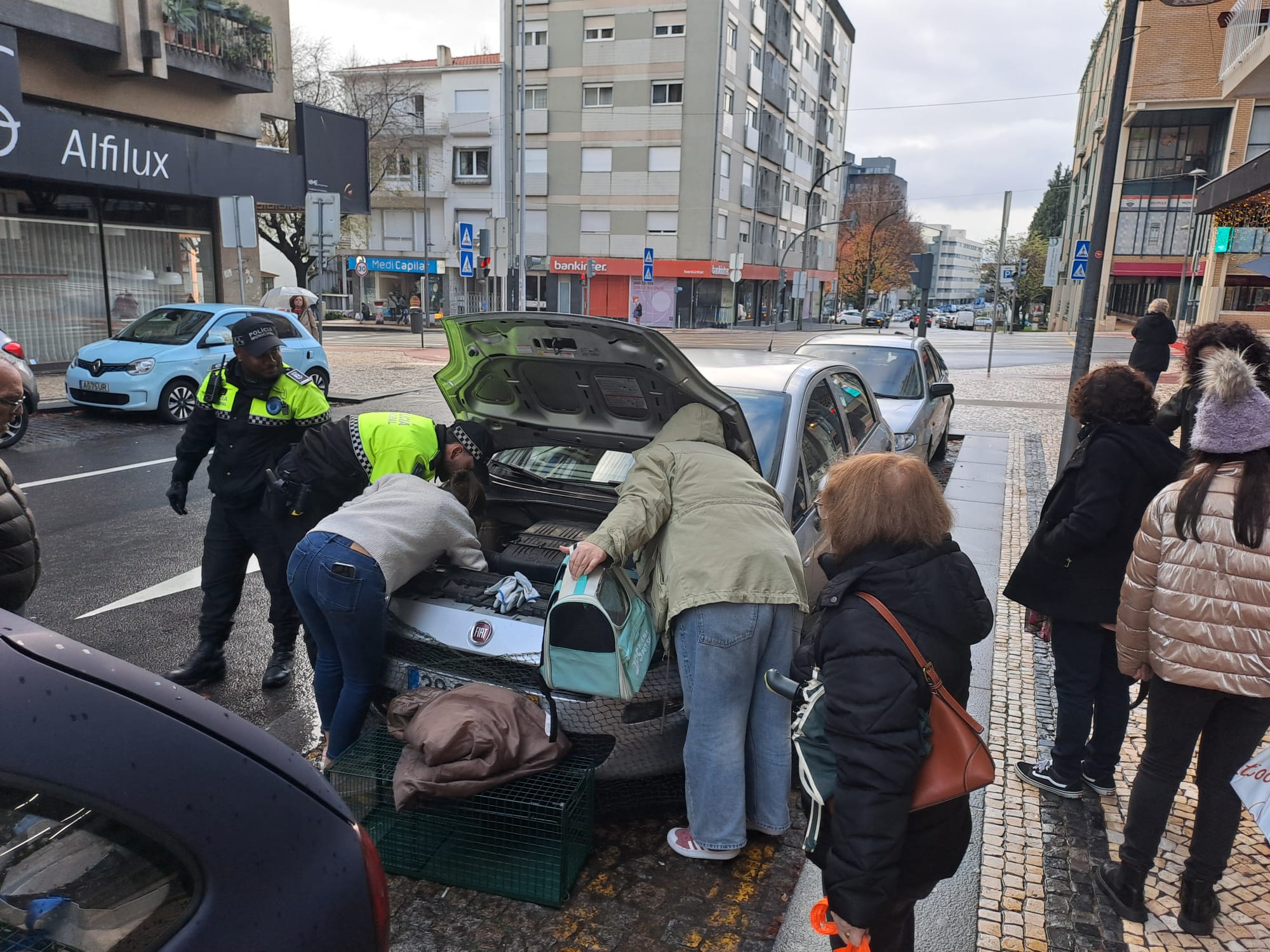 Gato foge ao frio mas fica preso no motor de um carro em braga. O final é feliz