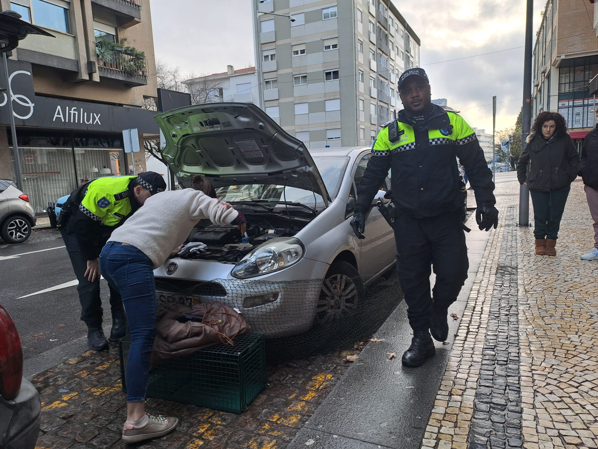 Gato foge ao frio mas fica preso no motor de um carro em braga. O final é feliz