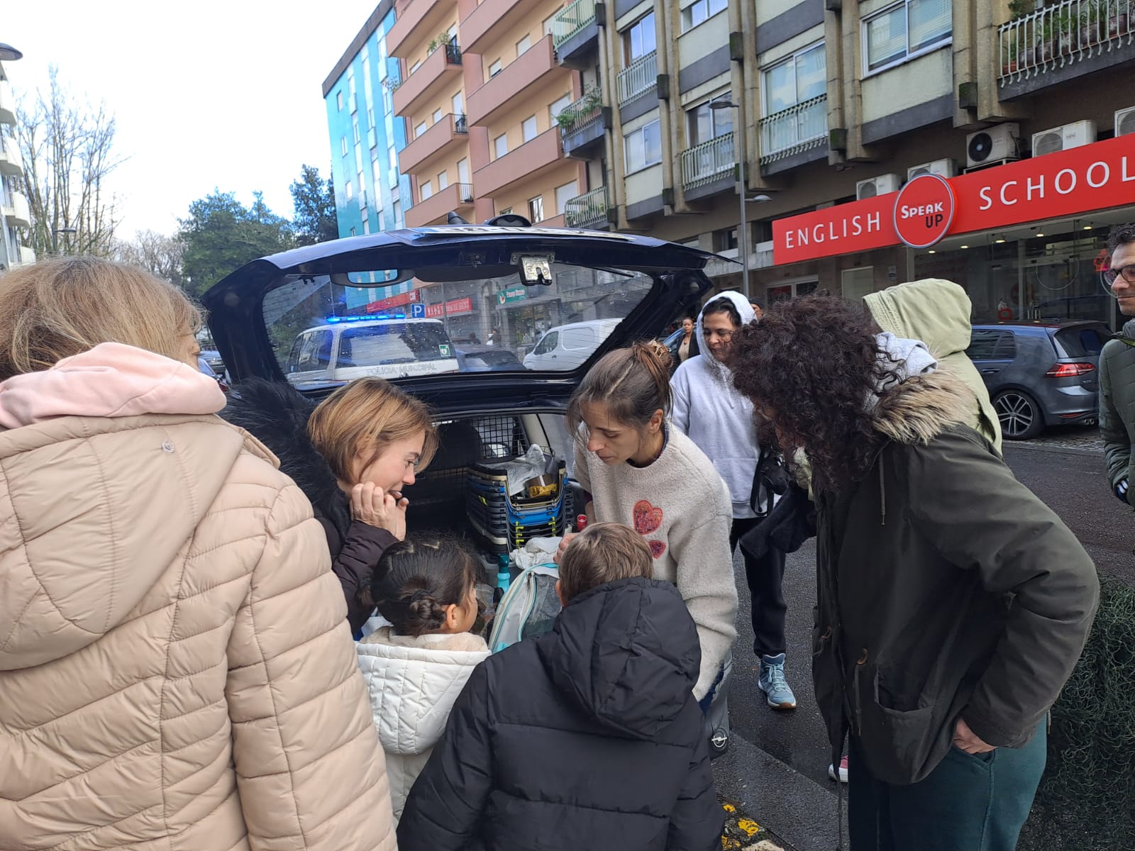 Gato foge ao frio mas fica preso no motor de um carro em braga. O final é feliz