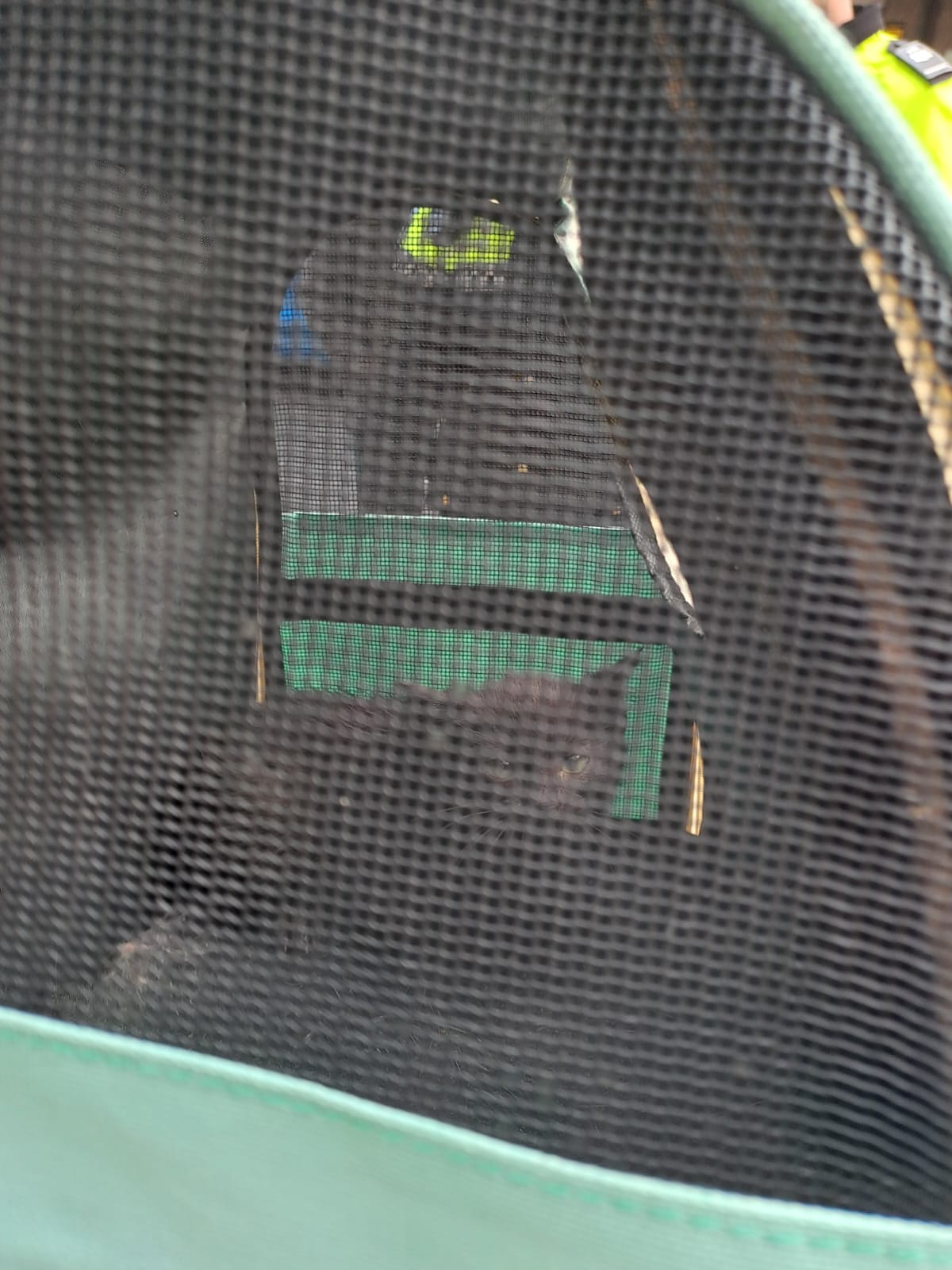 Gato foge ao frio mas fica preso no motor de um carro em braga. O final é feliz