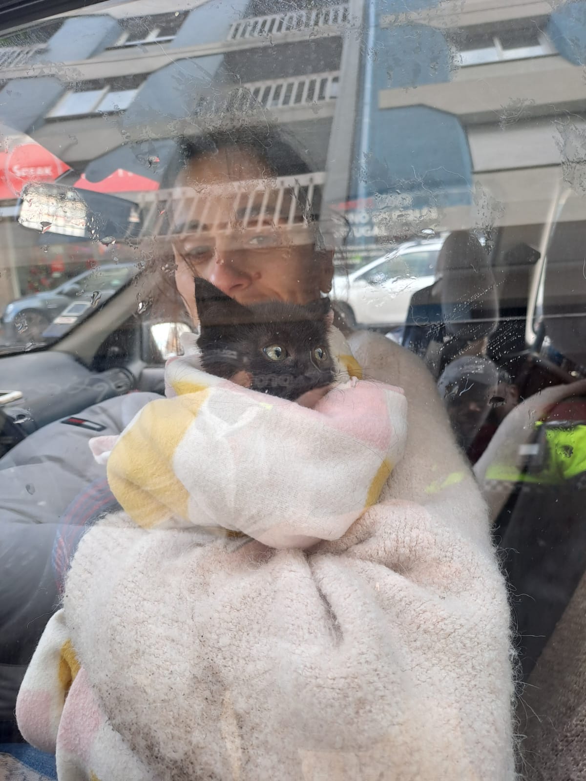 Gato foge ao frio mas fica preso no motor de um carro em braga. O final é feliz