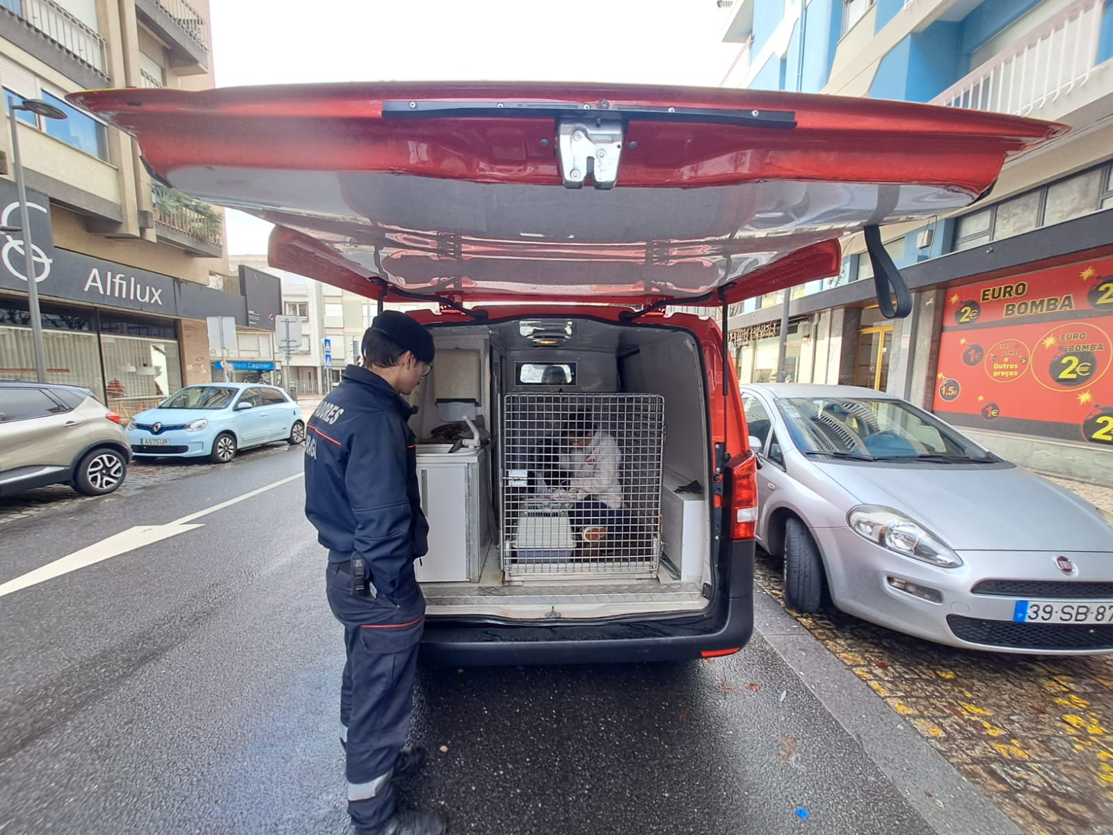Gato foge ao frio mas fica preso no motor de um carro em braga. O final é feliz