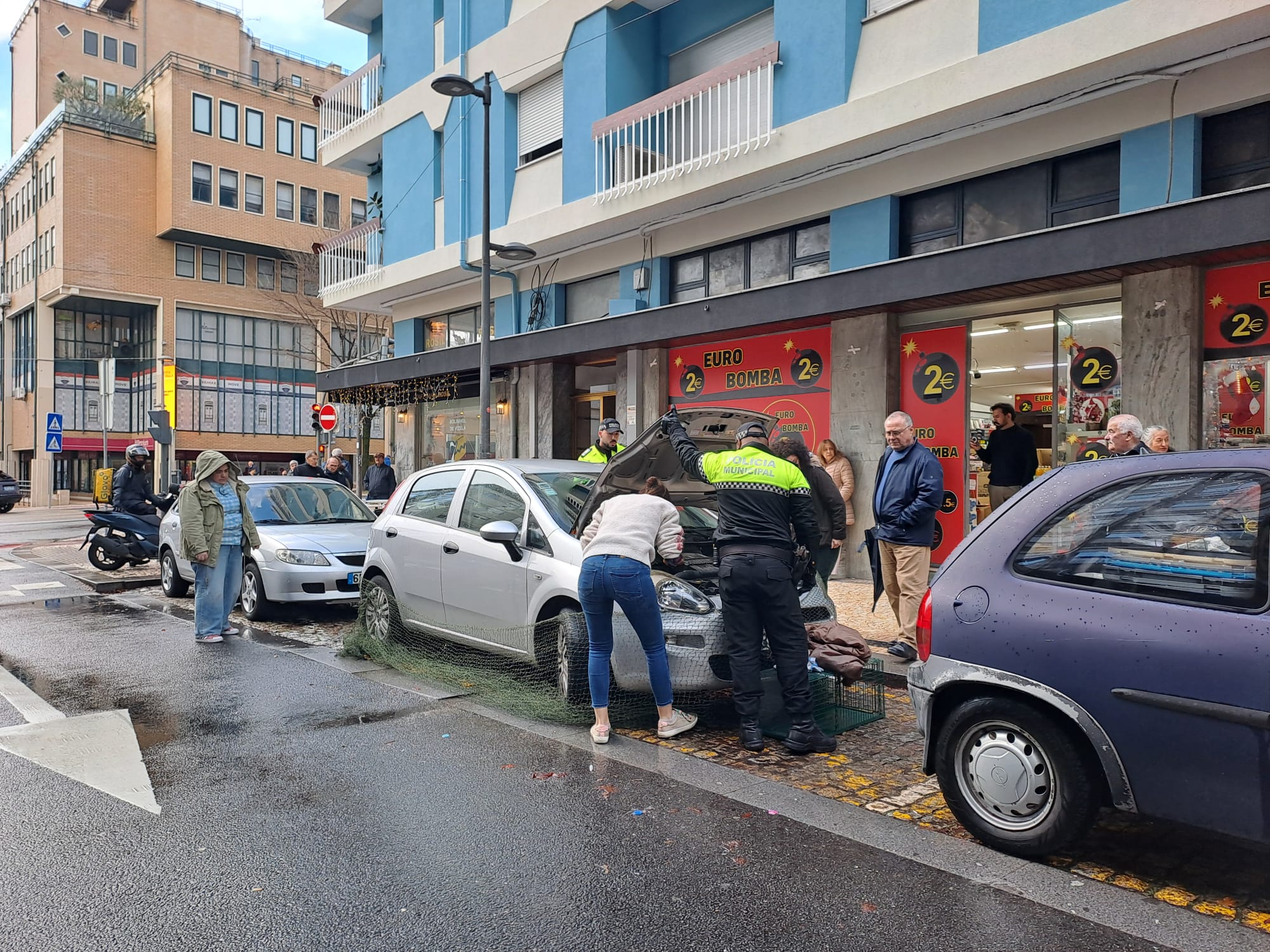 Gato foge ao frio mas fica preso no motor de um carro em braga. O final é feliz