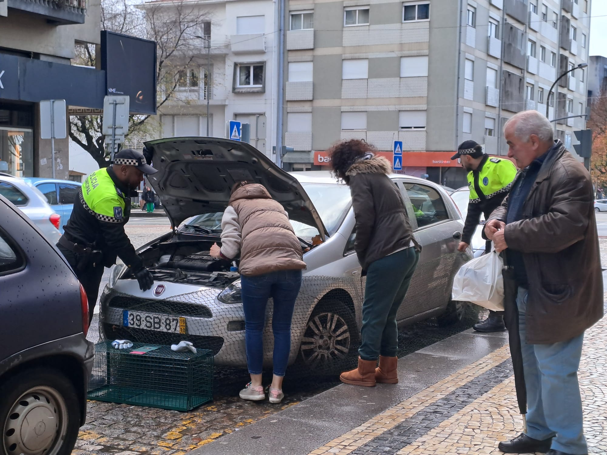 Gato foge ao frio mas fica preso no motor de um carro em braga. O final é feliz