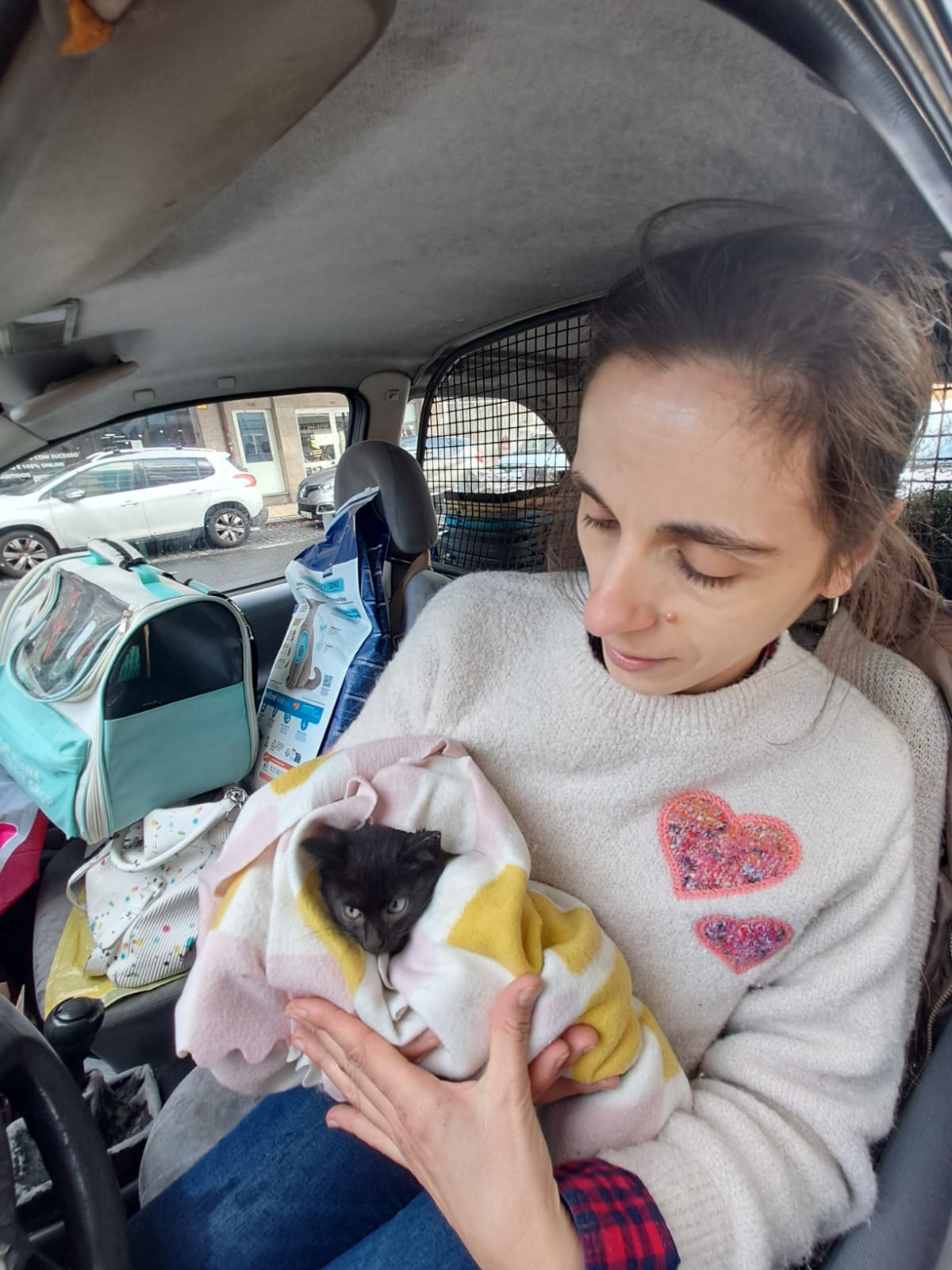 Gato foge ao frio mas fica preso no motor de um carro em braga. O final é feliz