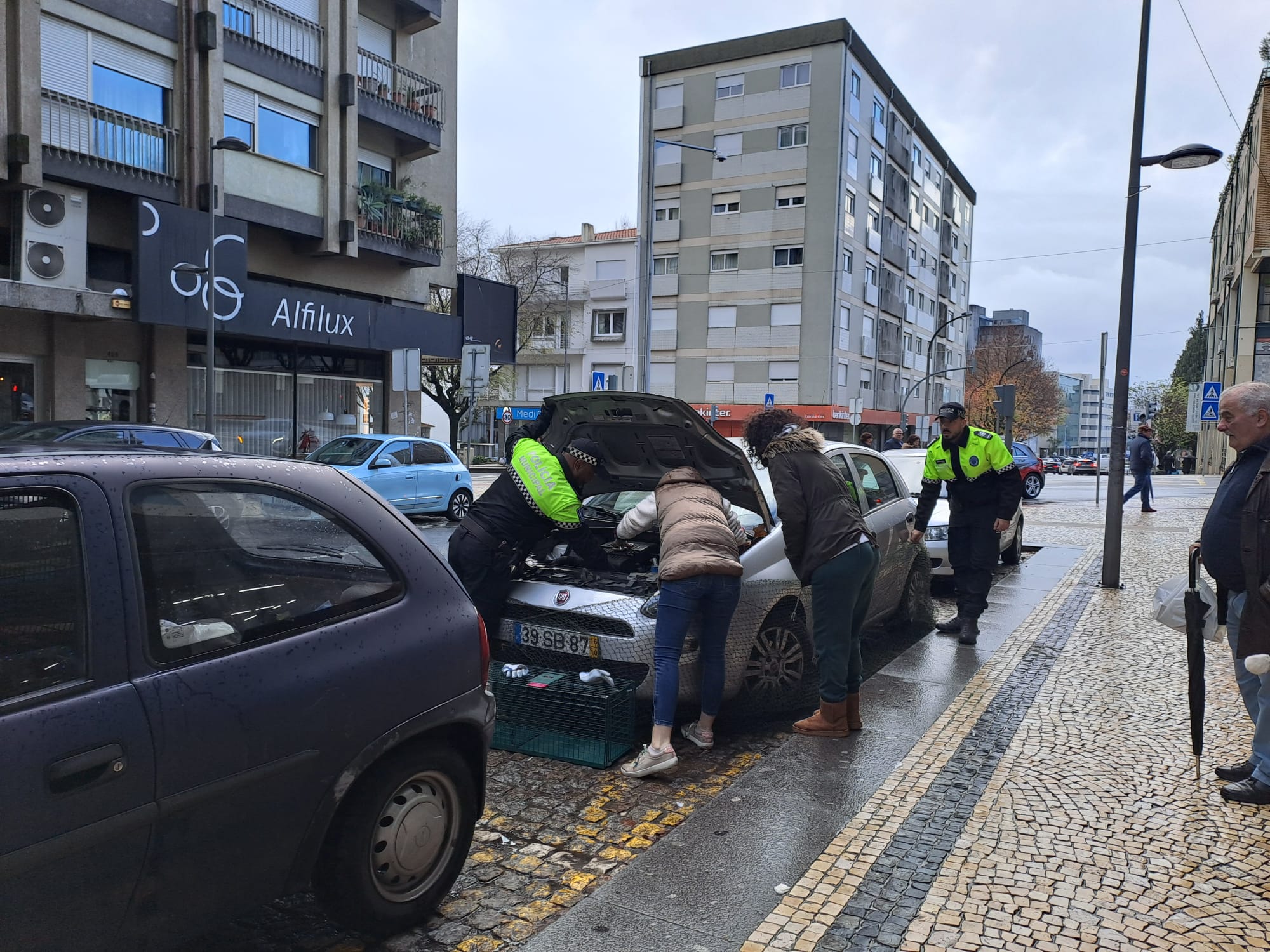 Gato foge ao frio mas fica preso no motor de um carro em braga. O final é feliz