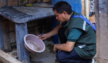 Brasil deve registrar 1,8 milhão de casos de dengue em 2026