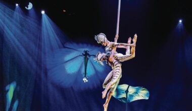 Jornal de Notícias Logo